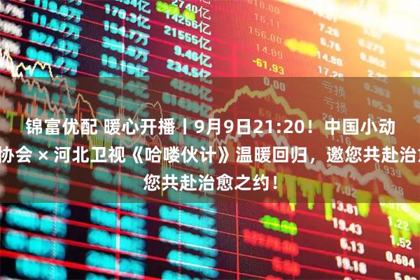 锦富优配 暖心开播丨9月9日21:20！中国小动物保护协会 × 河北卫视《哈喽伙计》温暖回归，邀您共赴治愈之约！